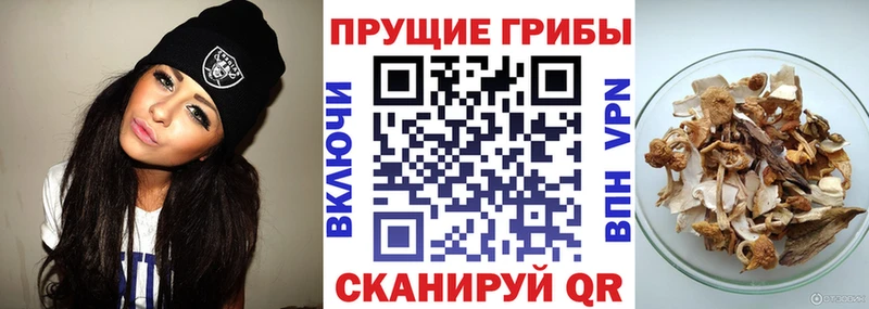 Галлюциногенные грибы Magic Shrooms  Купить  Шагонар 